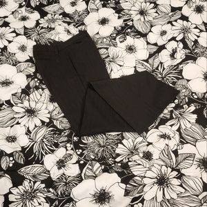 Office pants (fitted to size 6-8 US)